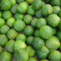 20Pcs Lime Seeds Citrus Aurantifolia Organic Fruit Seeds Lemon Tree Bonsai For Home Garden