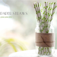 25Pcs Polka Dot Colorful Paper Drinking Straws Birthday Wedding Party Supplies