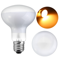 25W 40W 50W 60W 75W 100W R80 Warm White Infrared Heat Reptile Light Bulb AC220 240V