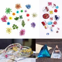 3 Dry Flowers Plant Specimens Time Gem Dijiao Glue Diy Jewelry Findings Tools