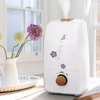 3L Ultrasonic Air Humidifier Atomizer Essential Oil Aromatherapy Diffuser Spray Mist Air Purifier