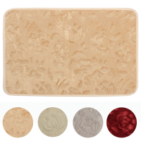 40X60cm Non Slip Absorbent Soft Coral Velvet Carpet Bathroom Floor Mat Rug