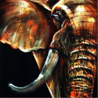 50X50cm Modern Abstract Huge Elephant Wall Art Decor Oil Painting On Canvas No Frame