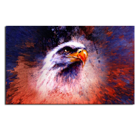50X75cm Owl Modern Art Painting Abstract Print Picture Kit Wall Home Decor No Frame