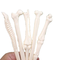 5Pcs Creative Ball Point Pen Bone Shape Office Nurse Student Doctor Stationery Gift