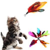 5Pcs Pet Cat Feather Teaser Refills For Da Bird Wand Teaser