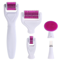 6 In 1 Derma Roller Skin Regeneration Needling Anti Aging Tools