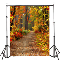 7X5ft Autumn Forest Path Theme Photography Vinyl Backdrop Studio Background 2.1M X 1.5M