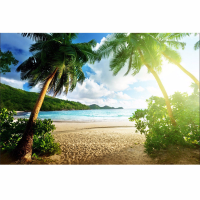7X5ft Seaside Beach Summer Theme Photography Vinyl Backdrop Studio Background 2.1M x 1.5M