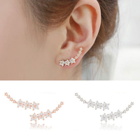 925 Silver Needle Star Inlay Zircon Crystal Stud Earrings Jewelry