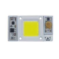 Ac170 300v 30w/50w Warmwhite/white Ip65 Waterproof Anti Thunder Temperature Control Led Light Chip