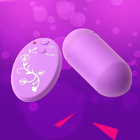 Adult Floral Printed Remote Egg Frequency Conversion Waterproof Sex Vibrator Toy