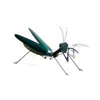 Aipin DIY 3D Puzzle Stainless Steel Model Kit Mantis Multicolour