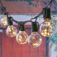 Arilux® 25 Led E12 G40 Bulb Copper Wire String Light For Holiday Christmas Party Decor Ac110 240v