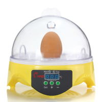 Automatic Egg Hatcher Clear Digital Chicken Duck Bird 7 Egg Incubator Hatcher Househould