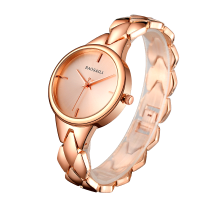 Baosaili Fashion Women Watch Bsl1048 Luxury Ladies Simple Casual Quartz Wrist Watch