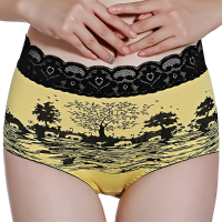 Comfy Lace Trim Mid Waist Menstrual Leak Proof Full Hips Breathable Panties