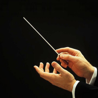 Concert Baton Rhythm Director Band Conductor Resin Baton 36cm Long