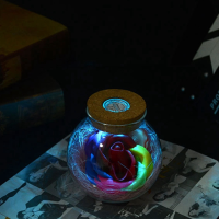 Creative Romantic Remote Led Flower Wish Bottle Light Lamp Holiday Lover Gift