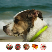 Dooda Pet Dog Flea Repellent Collar Cat Health Supplies Safe Human Insect Repellent Wristband