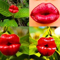 Egrow 100pcs Red Lips Flower Seeds Sexy Kiss Rosy Lip Plants Garden Bonsai Psychotria Elata Seeds