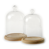 Glass Display Dome Clothe Bell Jar Flower Preservation Vase With Wooden Base 100mm 120mm