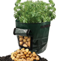 Graden 50L Large Capacity Potato Grow Planter PE Container Vefetable Bags Taro Sweet Tomato Pouch With Window