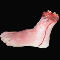 Halloween Party Decoration Whimsy Broken Foot