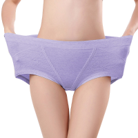 High Waist Cotton Full Hip Panties