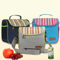 Honana CF LB060 Woman Lady Waterproof Insulated Cooler Lunch Tote Bag With 2 Detachable Liners Baby Milk Storage Container