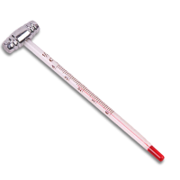 Hot Sale Glass Wine Thermometer Red Wine Glass Thermometer