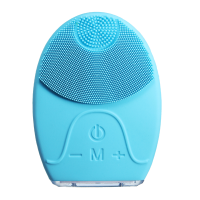Ipx5 Electric Facial Cleansing Brush