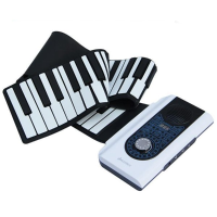 Iword 88 Key Professional Roll Up Piano With Midi Keyboard
