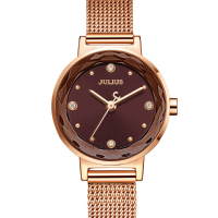 Julius 917 Simple Fashion Mesh Stainless Steel Strap Girls Quartz Watch