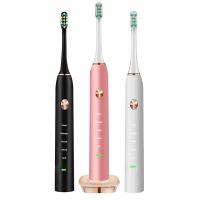 Loskii Pa 213 Ultrasonic Vibration Electric Toothbrush Rechargeable 5 Optional Modes Timer Toothbrush 2 Replacement Heads Dental Care Tooth Cleaner