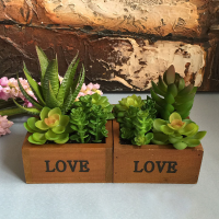 Love Wooden Basin Desktop Lotus Succulent Plants Flower Pot Garden Bonsai