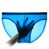 Mens Breathable Ice Silk Seamless Briefs Transparent Thin Sexy Mid Rise Casual Underwear
