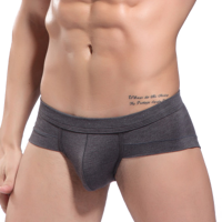 Mens Comfortable Widen Waistband Sexy Low Waist Modal U Convex Briefs