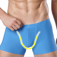 Mens Ice Silk Seamless Sexy Underwear Comfortable Casual Solid Color Boxers
