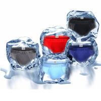 Mens Mesh Antibacterial Breathable Sexy Ice Silk Underwear U Convex Pouch Mid Rise Briefs
