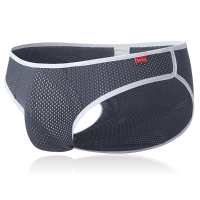 Mens Mesh Breathable Thin Low Rise Casual Sexy Briefs