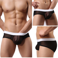 Mens Mesh Sexy Breathable Transparent Low Waist U Convex Pouch Briefs Underwear