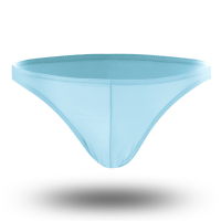 Mens Sexy Ice Silk Breathable Thin Low Waist Traceless Underwear Briefs