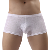 Mens Sexy Lace U Convex Thin Transparent Solid Color White Breathable Boxers Underwear