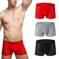 Mens Sexy Mesh Breathable Ice Silk Underpants U Shaped Convex Pouch Mid Rise Solid Color Underwear