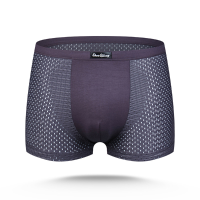 Mens Sexy Mesh Breathable Thin Casual Underwear U Convex Pouch Mid Rise Boxers