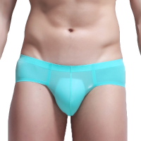 Mens Sexy Thin Ice Silk Soft Seamless Low Rise Casual Briefs