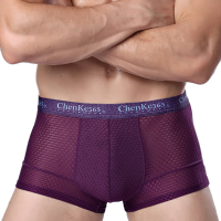 Mens Sexy Translucent Mesh Breathable U Convex Pouch Underwear Casual Boxers
