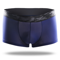 Mens Super Thin Ice Silk Breathable Seamless Boxers Briefs Translucent Casual Underwear