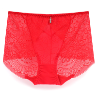 Plus Size Lace Trim Perspective Seamless Hollow Out Mid Waist Breathable Panties